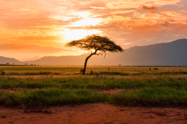 Afrika 1.png